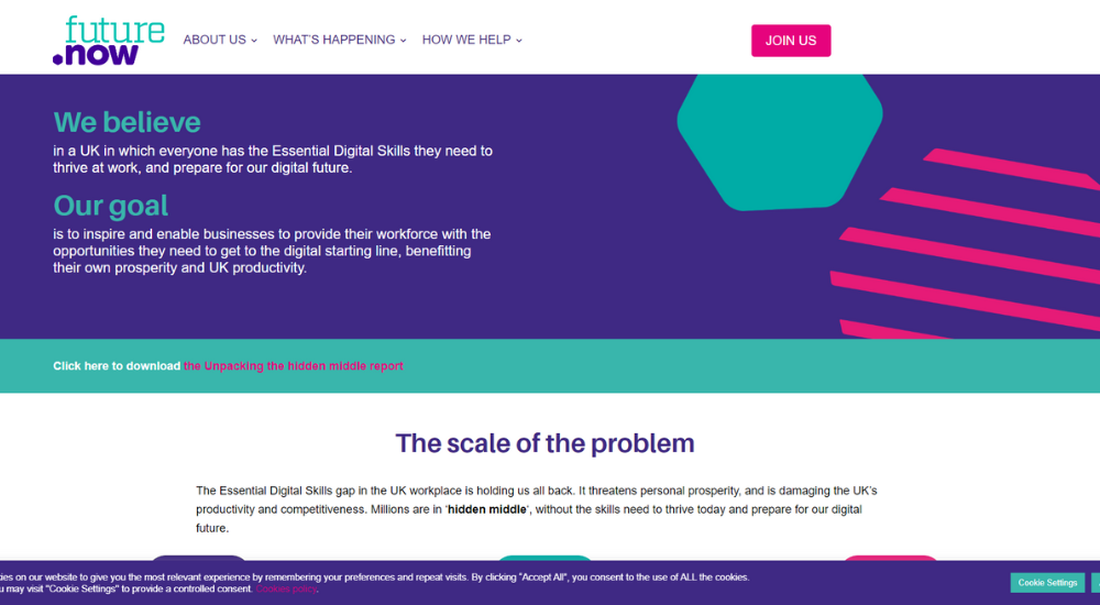 FDN Charity Website Design Screenshot