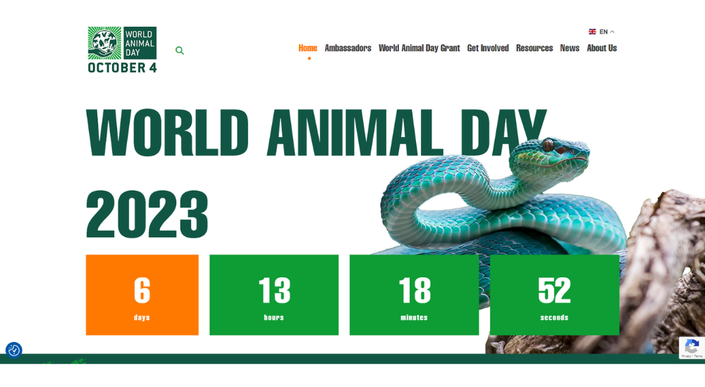World Animal Day Charity Website Screenshot