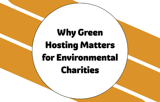 Why Green Hosting Matters for Environmental Charities
